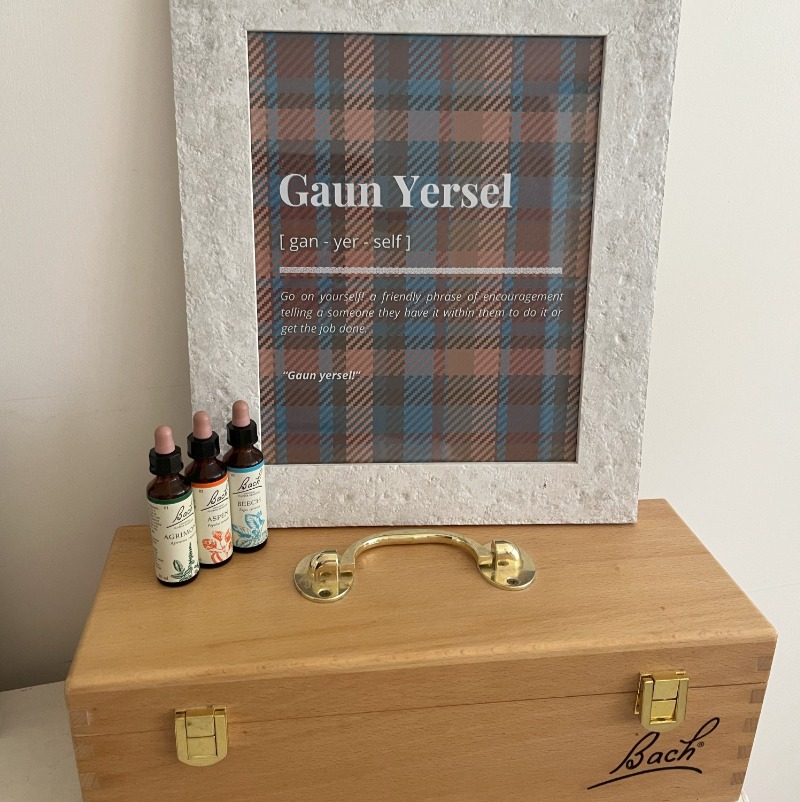 38 BACH Flower Remedies