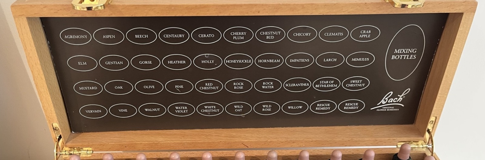 BACH Flower Remedies, consultations